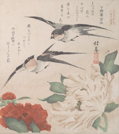 Spring Rain Collection Harusame shu, voi. 3: Pääskyset ja pionit, n. 1820, n. 1820. tekijältä Hokuba