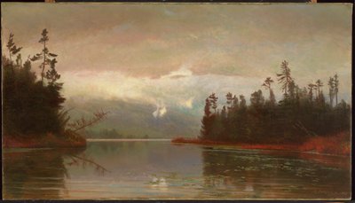 A North Woods Lake tekijältä Homer Dodge Martin