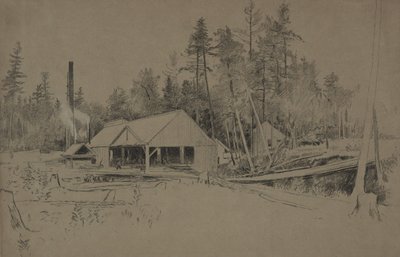 Saha tekijältä Homer Dodge Martin