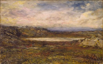 Wild Coast, Newport tekijältä Homer Dodge Martin