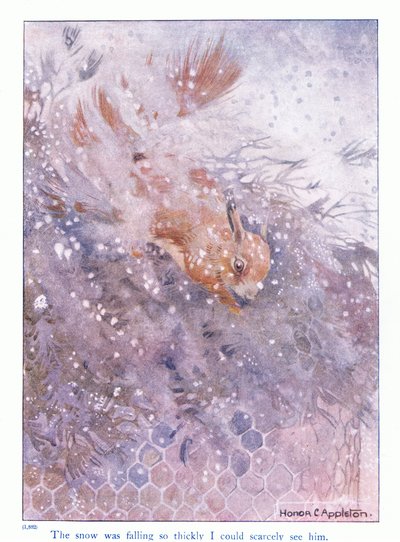 Lunta satoi niin paksusti, että tuskin pystyin näkemään häntä, kuvitus Eleanor Tyrellin teoksesta More About the Squirrels, n. 1915 (väri litho) tekijältä Honor Charlotte Appleton