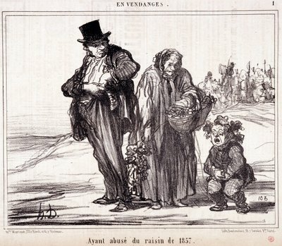 Sarjakuva viininviljelystä. Sarja "" Autumn Sketch"": "" Harvestissa. 1857:n viinirypäleiden väärinkäyttö”. Kaiverrus Honore DAUMIER (1808-1879). Ote sanomalehdestä "" Le Charivari"" 16. lokakuuta tekijältä Honoré Daumier