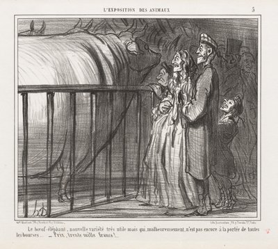 Eläinten näyttely: Pl. 5, The Cow-Elephant, New Variety.... tekijältä Honoré Daumier