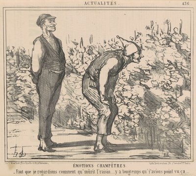 Täytyy katsoa kuinka rypäleet kypsyvät... tekijältä Honoré Daumier