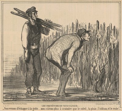 Viininviljelijän huoli tekijältä Honoré Daumier