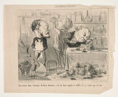 Tutkijat tekijältä Honoré Daumier