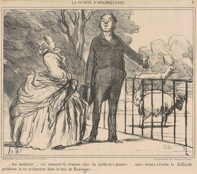 Kyllä rouva... ne eläimet... tekijältä Honoré Daumier
