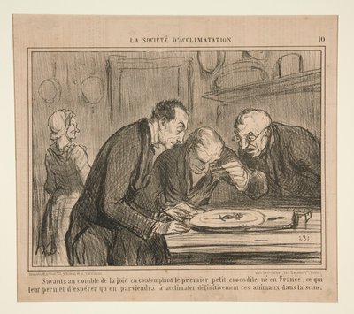 Tutkijat ilon huipulla pohtimassa ensimmäistä pientä krokotiilia tekijältä Honoré Daumier