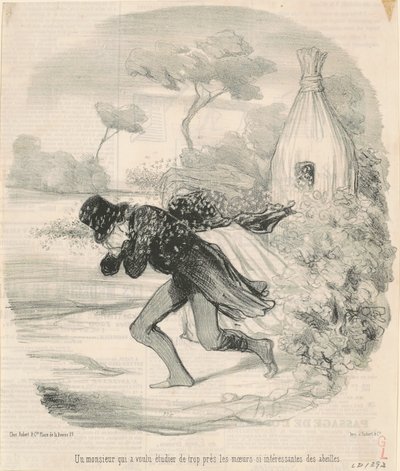Herrasmies, joka halusi opiskella ... mehiläisten tapoja ... tekijältä Honoré Daumier