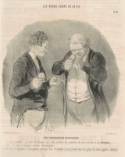 Tieteellinen konsultaatio tekijältä Honoré Daumier