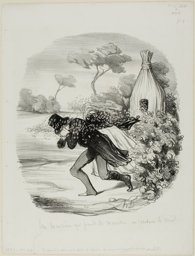 Herrasmies, joka halusi tutkia mehiläisten tapoja liian tarkasti, levy 6 Pastorales-taulukosta tekijältä Honoré Victorin Daumier