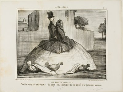 Anteeksiannettava virhe. Kanat luulevat löytäneensä häkin, jossa ne viettivät varhaislapsuutensa, kuva 21 La Crinolomanie -lehdestä. tekijältä Honoré Victorin Daumier