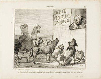 Koirat ovat jälleen epätoivoissaan kuultuaan, että koirien ajokorttivero tulee sittenkin, levy 171 alkaen Actualités tekijältä Honoré Victorin Daumier