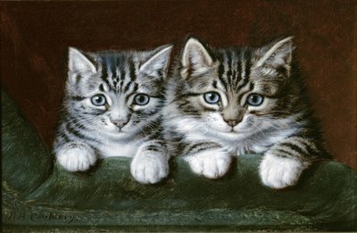 Two Tabby Kittens (öljy kankaalle) tekijältä Horatio Henry Couldery
