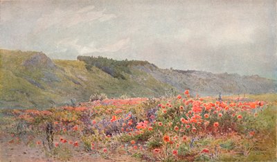 Unikkolaakso, c1879-1903, 1903 tekijältä Howard Gull Stormont