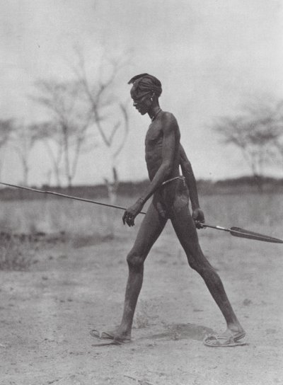 Afrikka: Dinka-soturi keihään kanssa (s/w-kuva). tekijältä Hugo Adolf Bernatzik