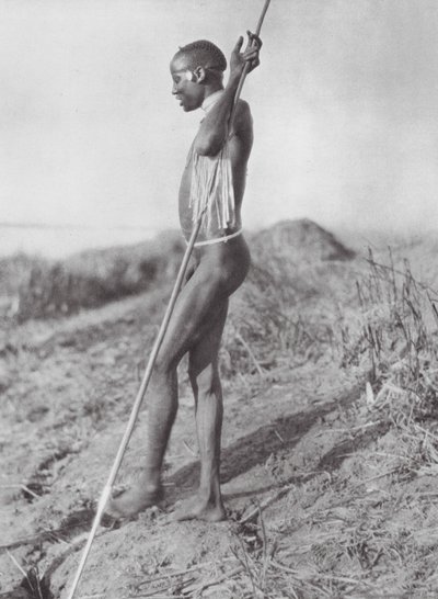 Afrikka: Valkoisen Niilin pohjoinen dinka (s/w-kuva): pohjoinen dinka Valkoisesta Niilistä (s/w-kuva) tekijältä Hugo Adolf Bernatzik