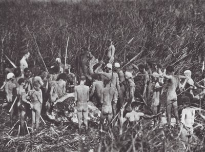 Afrikka: Nuer-metsästäjät norsun ruhon kanssa (s/w-kuva). tekijältä Hugo Adolf Bernatzik