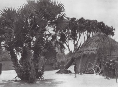 Afrikka: Valkoisen Niilin varrella sijaitseva shilluk-kylä (s/w-kuva). tekijältä Hugo Adolf Bernatzik