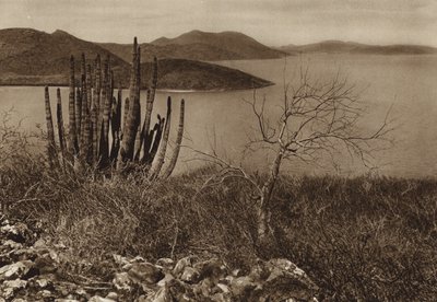 Meksiko: Baja Californian rannikon lähellä (s/w-kuva). tekijältä Hugo Brehme