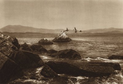 Meksiko: Manzanillon rannikko, Pelicanos, Coliman osavaltio (s/w-kuva). tekijältä Hugo Brehme
