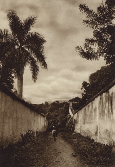 Meksiko: Cuernavaca, San Antonion kylään johtava katu (s/w-kuva). tekijältä Hugo Brehme
