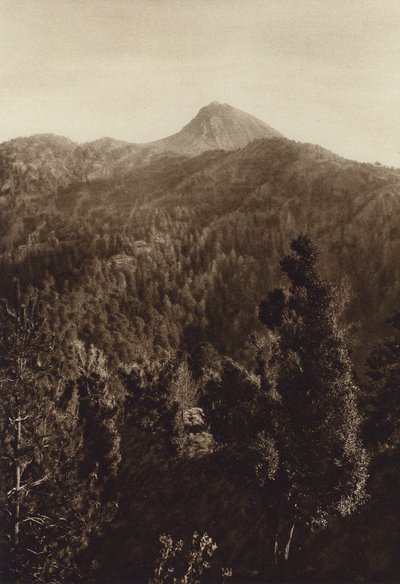 Meksiko: Nevado de Colima, osittainen näkymä (s/w valokuva) tekijältä Hugo Brehme