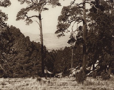 Meksiko: Villi panoraama Pico de Orizaban juurella (s/w-kuva) tekijältä Hugo Brehme