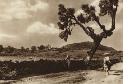 Meksiko: Patzcuaro, El Calvario, Michoacanin osavaltio (s/w-kuva). tekijältä Hugo Brehme