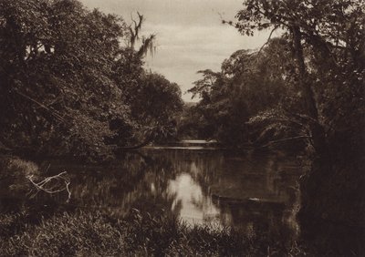 Meksiko: Tamasopo, Panorama del rio, Vera Cruzin osavaltio (s/w-kuva) tekijältä Hugo Brehme