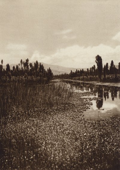 Meksiko: Xochimilco, yksi pääkanavista (s/w-kuva) tekijältä Hugo Brehme
