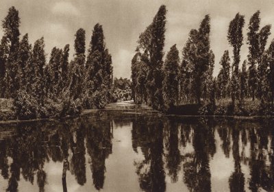 Meksiko: Xochimilco ja niin sanotut "kelluvat puutarhat" (s/w-kuva). tekijältä Hugo Brehme