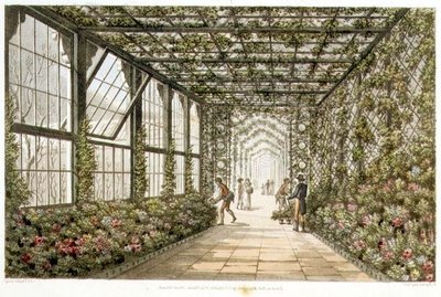 Konservatorion käytävä, kaiverrettu Joseph Constantine Stadlerin (1780-1812) teoksesta "Designs for the Pavilion at Brighton", pub. 1808 (värilitro) tekijältä Humphry Repton
