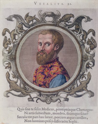 Andreas Vesaliuksen (1514-64) muotokuva unkarilaisen lääkärin Sambucuksen kirjasta Recueil des Portraits de Medecins, 1574 tekijältä Hungarian School