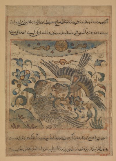 Pair of Eagles, Folio Manafi