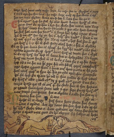 Hevostaistelu, Heynesbokista (Heynesin kirja), 1500-luvun ensimmäinen puolisko tekijältä Icelandic School