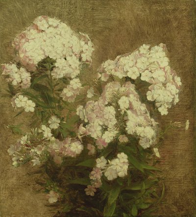 Phlox, 1870 tekijältä Ignace Henri Jean Fantin Latour