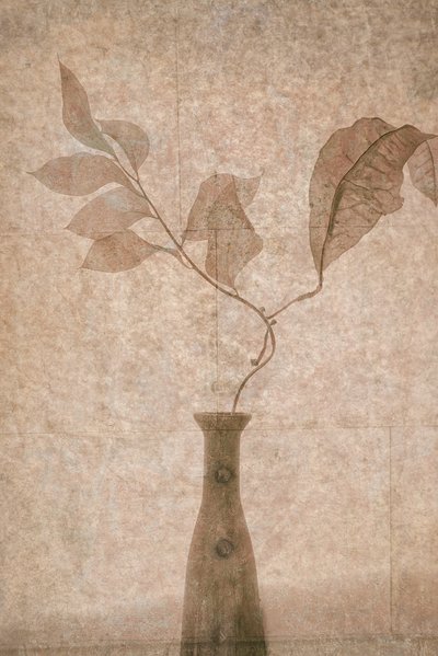 Hienostuneet Sepia Botanicals -tuotteet tekijältä Igor Tokarev