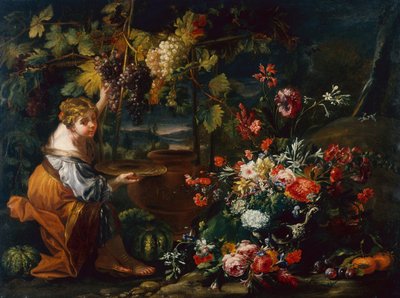 Nuori tyttö poimii viinirypäleitä (öljy kankaalle) tekijältä Il and Brueghel Abraham Borgognone
