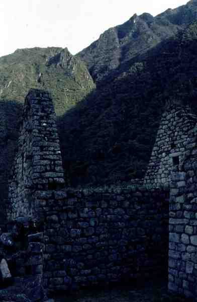 Raunioitunut talo Machu Picchun linnoituksesta (kuva). tekijältä Incan Incan