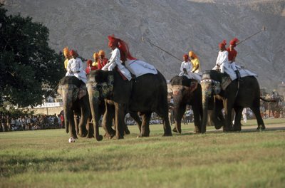 Miehet pelaavat norsupalloa (kuva) tekijältä Indian Photographer