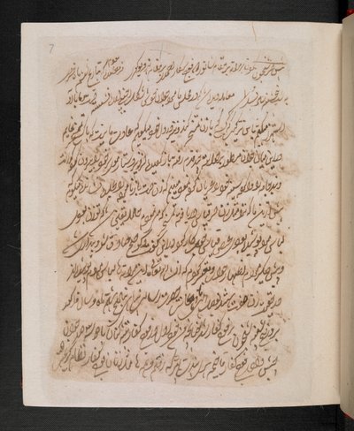 Sivu Tipu Sultanin unelmakirjasta (IO Islamic 3563), uni nro 13, noin 1786-99 (tussi ja tussi paperille). tekijältä Indian School