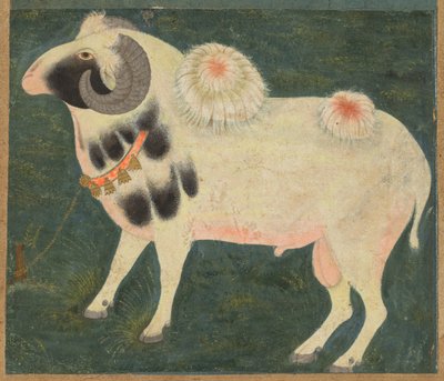 Kuninkaallinen pässi kultaketjulla, n. 1585 (läpinäkymätön akvarelli ja kulta paperille) tekijältä Indian School