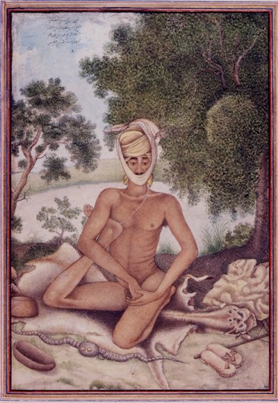 Lisää 27255 fol.370v A Naked Ascetic, eversti James Skinnerin (1778-1841) kokoamasta 