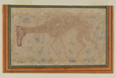 Laihtunut hevonen, Mughalista tai Deccanista, 1600-luvun puoliväli (muste ja väripesu paperille) tekijältä Indian School