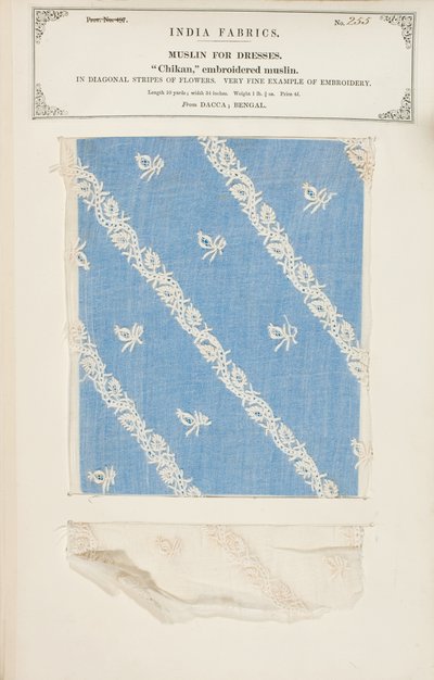 Chikan-kirjailtu musliininäyte Daccasta Bengalista, kokoelmasta The Collection of the Textile Manufacturers of India, John Forbes Watson, julkaistiin vuonna 1866 tekijältä Indian School