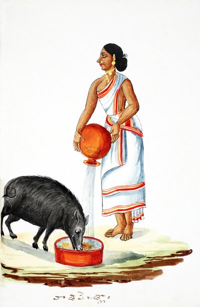 Villisian ruokinta (wc paperilla) tekijältä Indian School