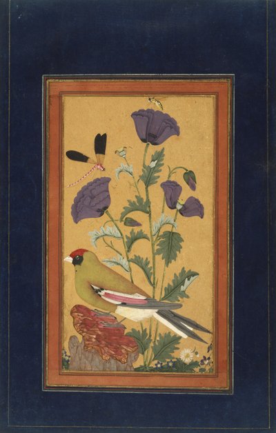 Peippo, unikot, sudenkorento ja mehiläinen, 1650-70 (läpinäkymätön wc ja kultaa paperilla) tekijältä Indian School