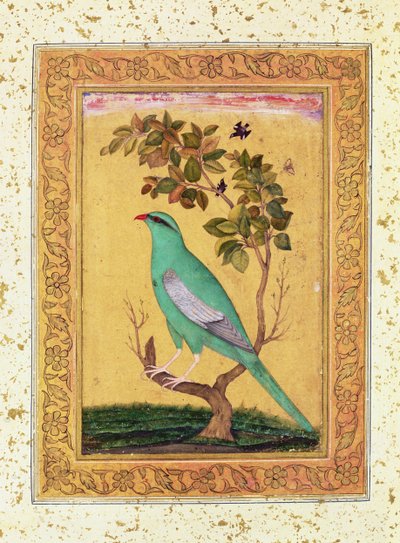 Vihreä lintu, Mughal tekijältä Indian School