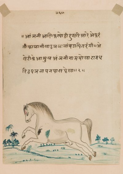 Hevonen (läpinäkymätön wc paperilla) tekijältä Indian School